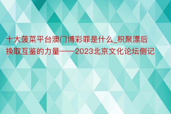 十大菠菜平台澳门博彩罪是什么_积聚漂后换取互鉴的力量——2023北京文化论坛侧记